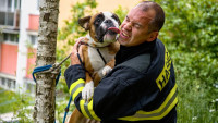 hasič a pes